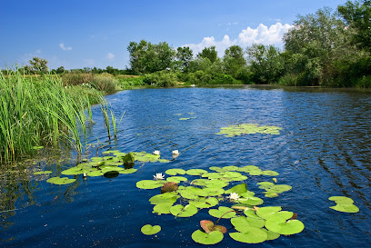 Clean Water Pro - Pond & Lake Water Management, Custom Water Aeration, and Algae Removal