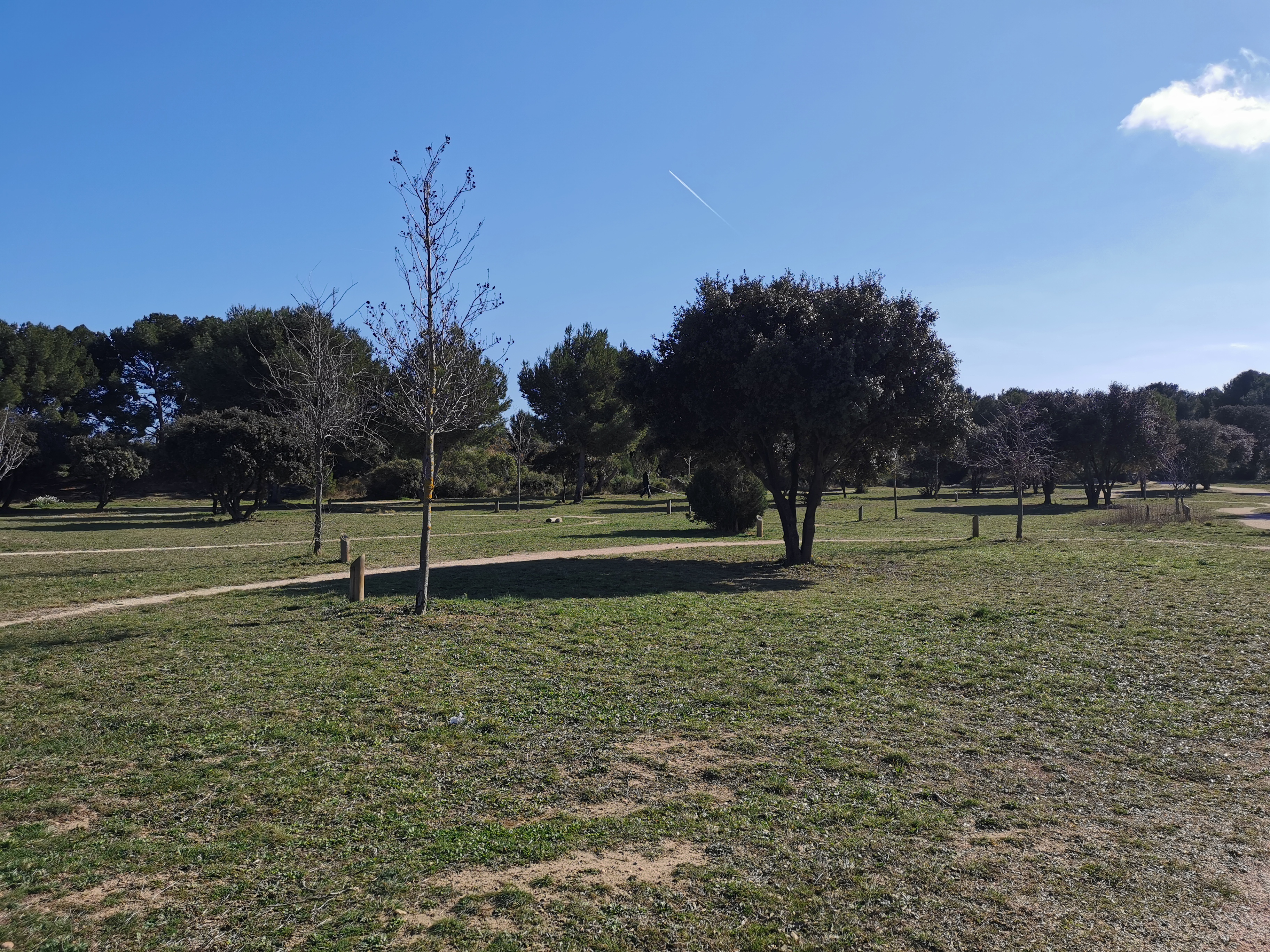 Photo n° 2 de l'avis de Dadou.a fait le 16/03/2022 à 21:56