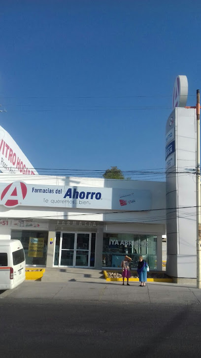 Farmacia Del Ahorro, , Aguascalientes