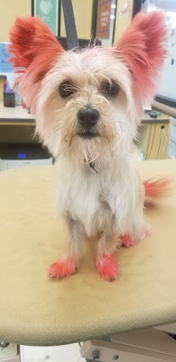 Pet Supply Store «PetSmart», reviews and photos, 1232 Hooper Ave, Toms River, NJ 08753, USA