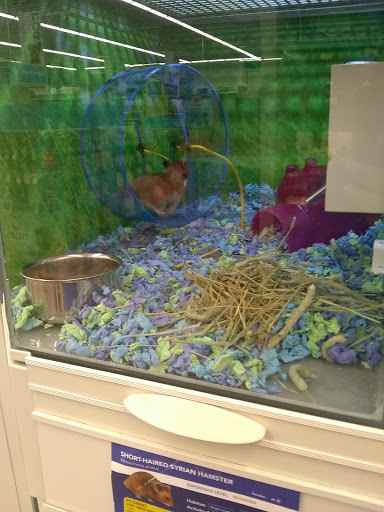 Pet Supply Store «PetSmart», reviews and photos, 10600 Melody Dr, Northglenn, CO 80234, USA