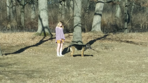 Nature Preserve «Swallow Cliff Woods South», reviews and photos, Illinois Rt 83 & US Rt 45, Palos Park, IL 60464, USA