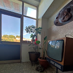 Photo n°6 de l'avis de Angela. fait le 03/11/2023 à 21:22 sur le  Bar Trattoria Quaranta à Grottole