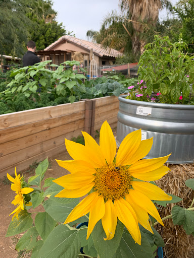 Produce Market «Blue Rooster Produce», reviews and photos, 23621 N 91st Ave, Peoria, AZ 85383, USA