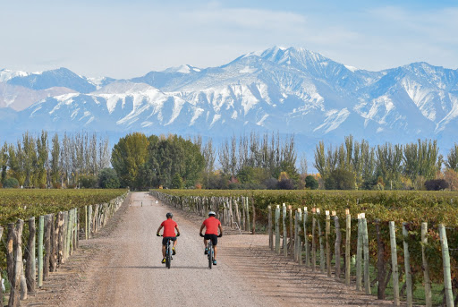 Mendoza Holidays Wine Tours