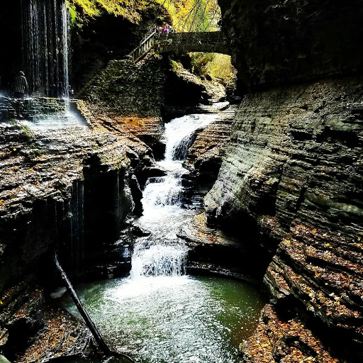 Tour Agency «Experience! The Finger Lakes», reviews and photos, 501 Warren Rd, Ithaca, NY 14850, USA