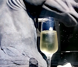 Steenberg Tasting Room photo