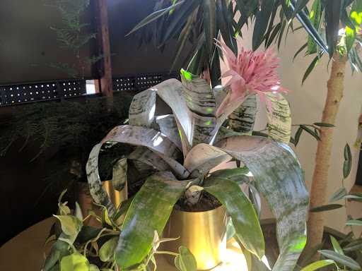 Lighting Store «Schoolhouse Electric & Supply Co.», reviews and photos, 2181 NW Nicolai St, Portland, OR 97210, USA