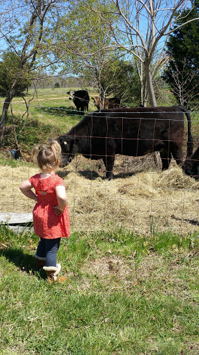 Tourist Attraction «Middleton Farm», reviews and photos, 13250 Cedar Hill Pl, Waldorf, MD 20601, USA