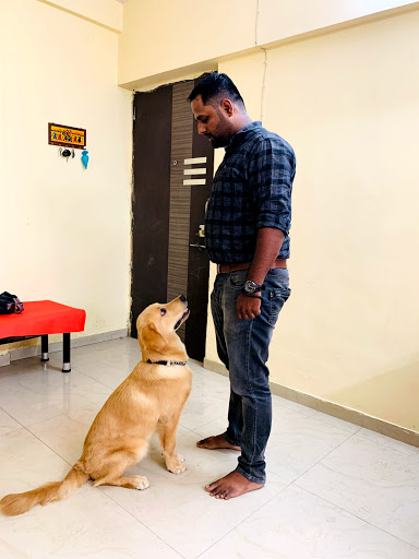 Off Leash Dog Training & Security Services (Dog Training Centre in Thane)