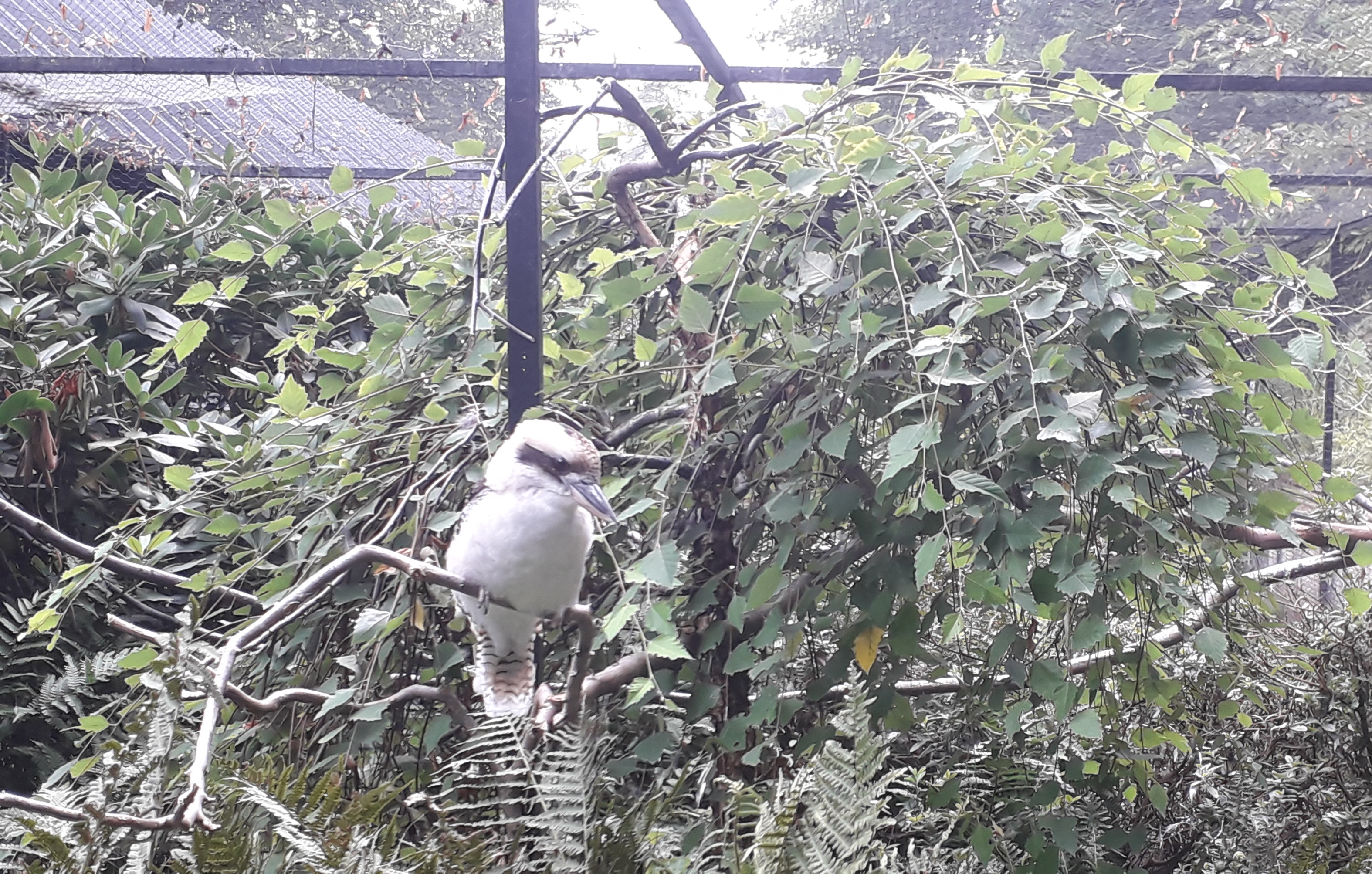 Photo n° 40 de l'avis de lilou.i fait le 19/09/2020 à 16:48