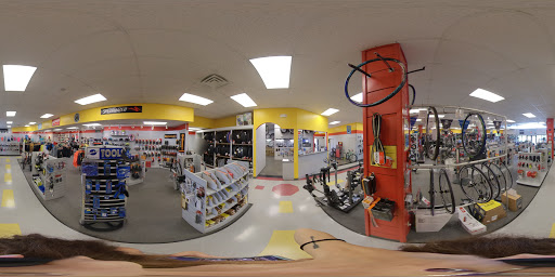 Bicycle Store «Chainwheel Drive», reviews and photos, 1770 Drew St, Clearwater, FL 33755, USA