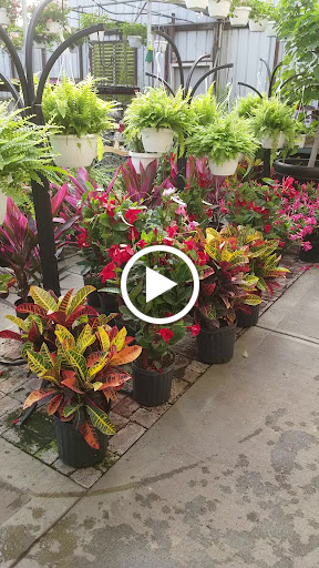 Florist «Frankstown Gardens», reviews and photos, 10158 Frankstown Rd, Pittsburgh, PA 15235, USA