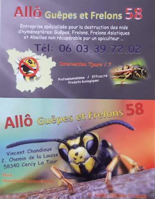 Allô Guêpes et Frelons 58 à Cercy-la-Tour