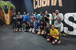 Cobra Fighting Academy image