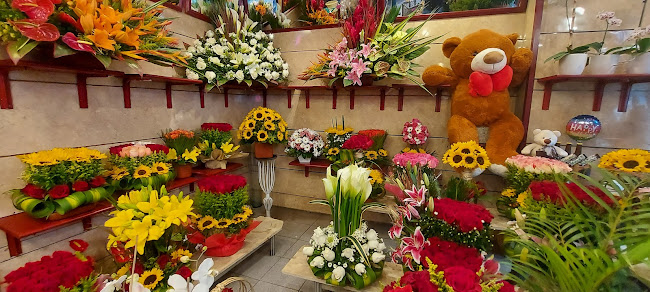 Opiniones de Florerìa El Racimo en Quito - Floristería