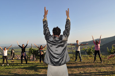 Parenthèse Vigneronne à Kaysersberg