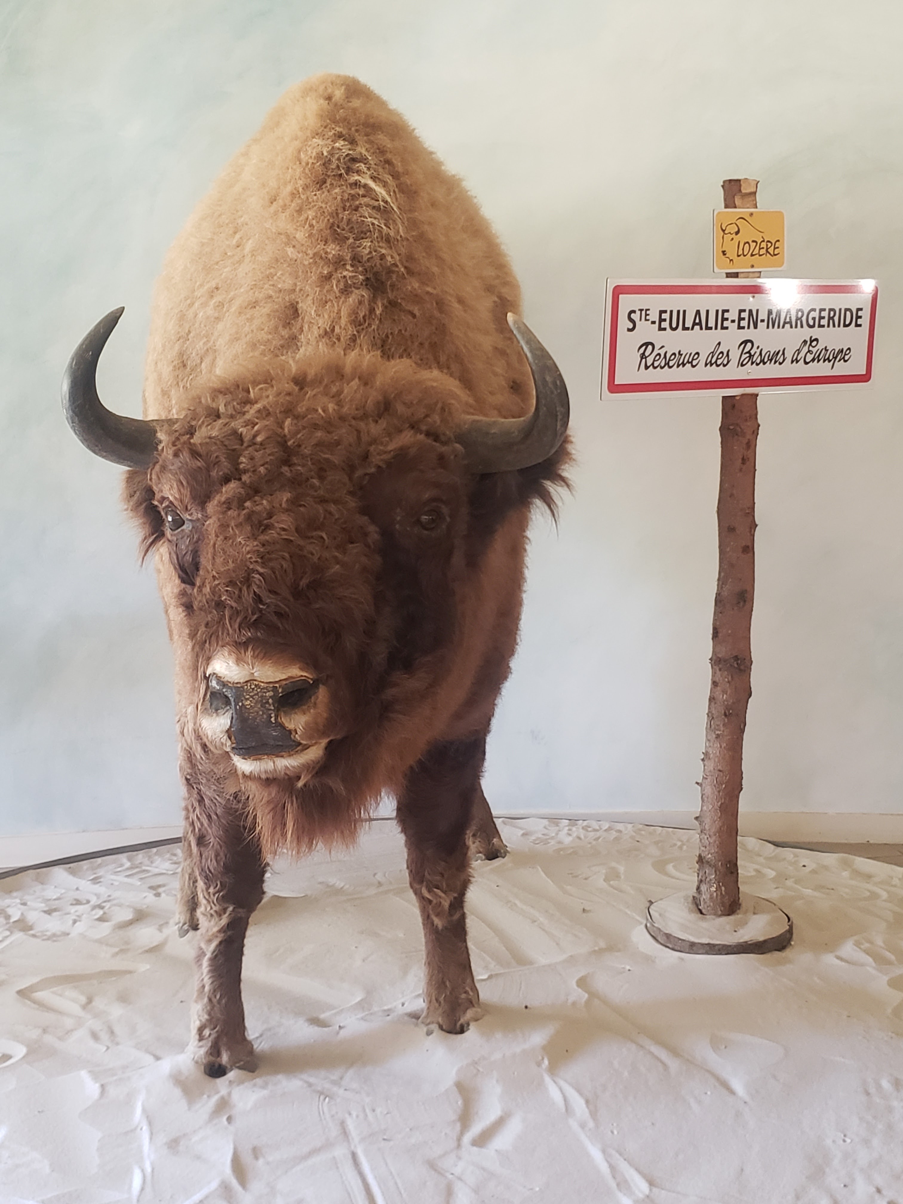 Photo n° 1 de l'avis de D..A fait le 22/08/2023 à 16:40