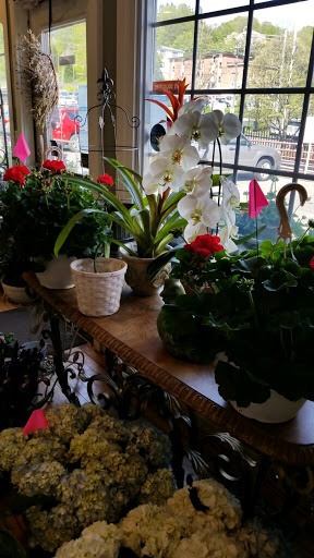 Florist «Agnew Florist-Watertown», reviews and photos, 587 Main St, Watertown, CT 06795, USA