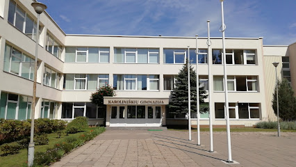 Vilniaus Karoliniškių gimnazija