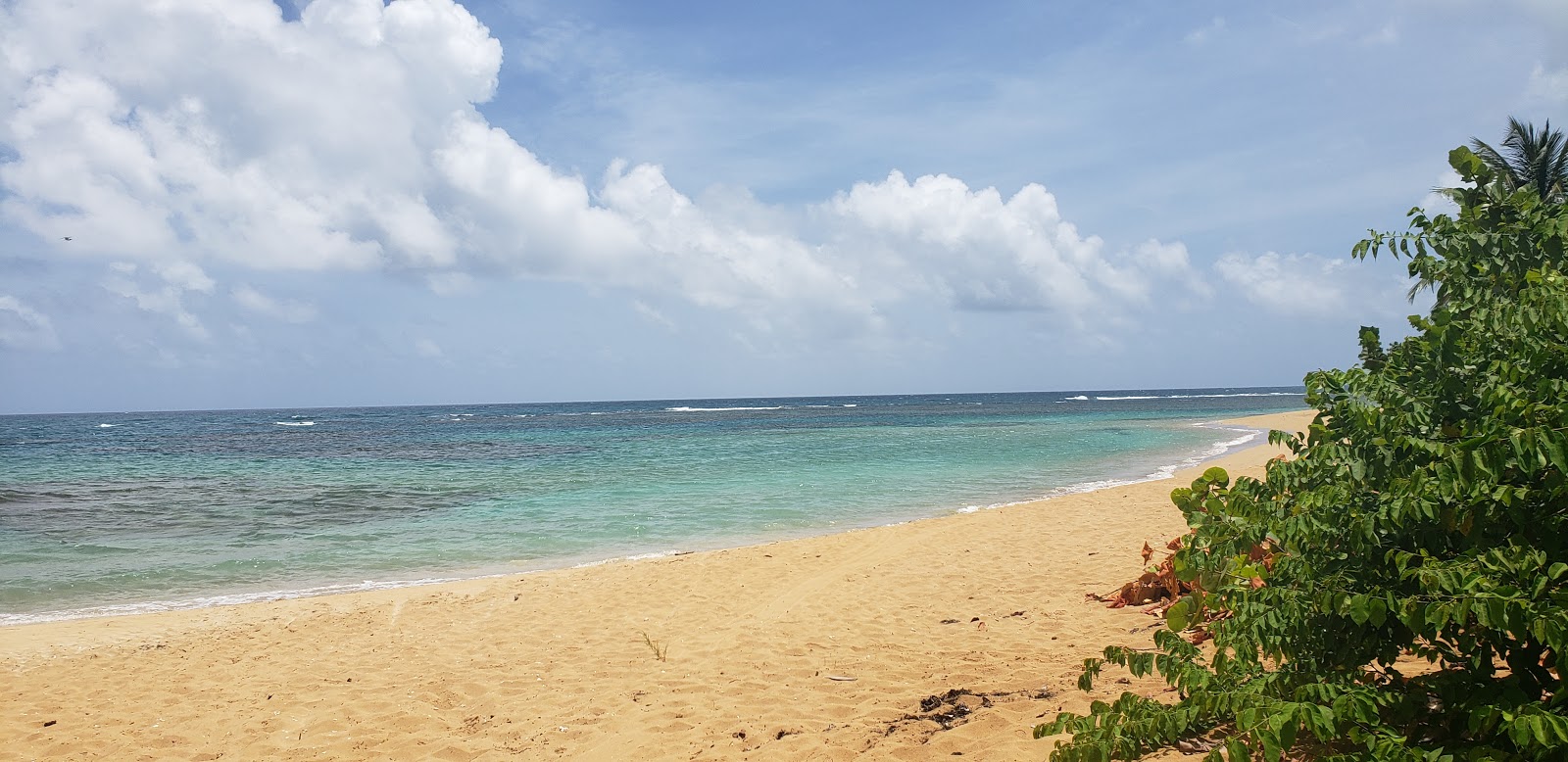 Foto van Playa La Selva wilde omgeving