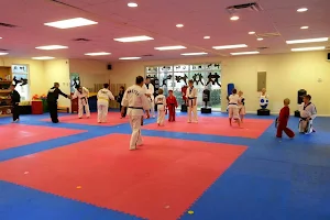 US Pro Taekwondo image