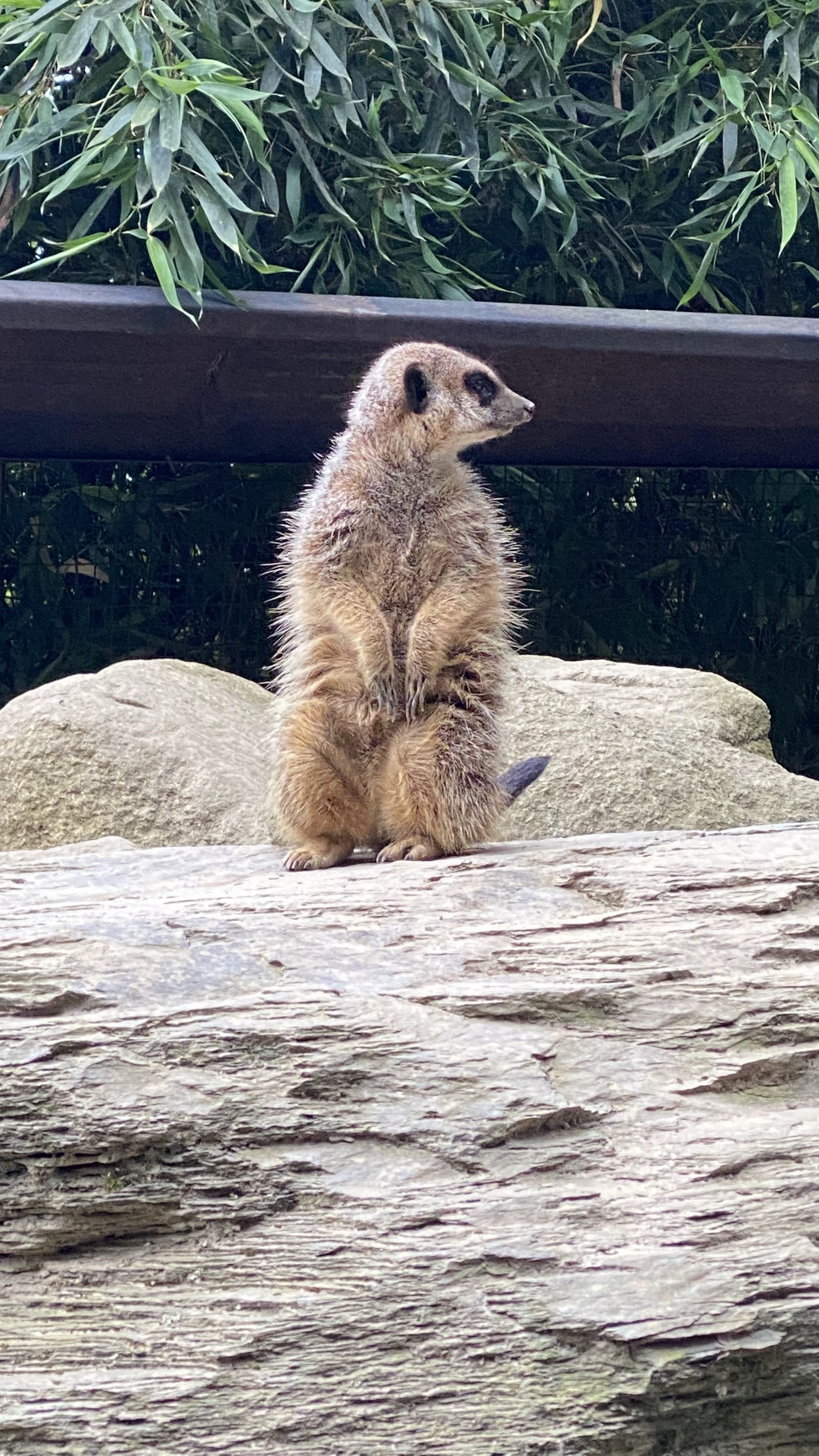 Photo n° 12 de l'avis de Jérémie.o fait le 10/07/2021 à 20:40