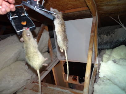 Salt Lake City Rodent Exterminator