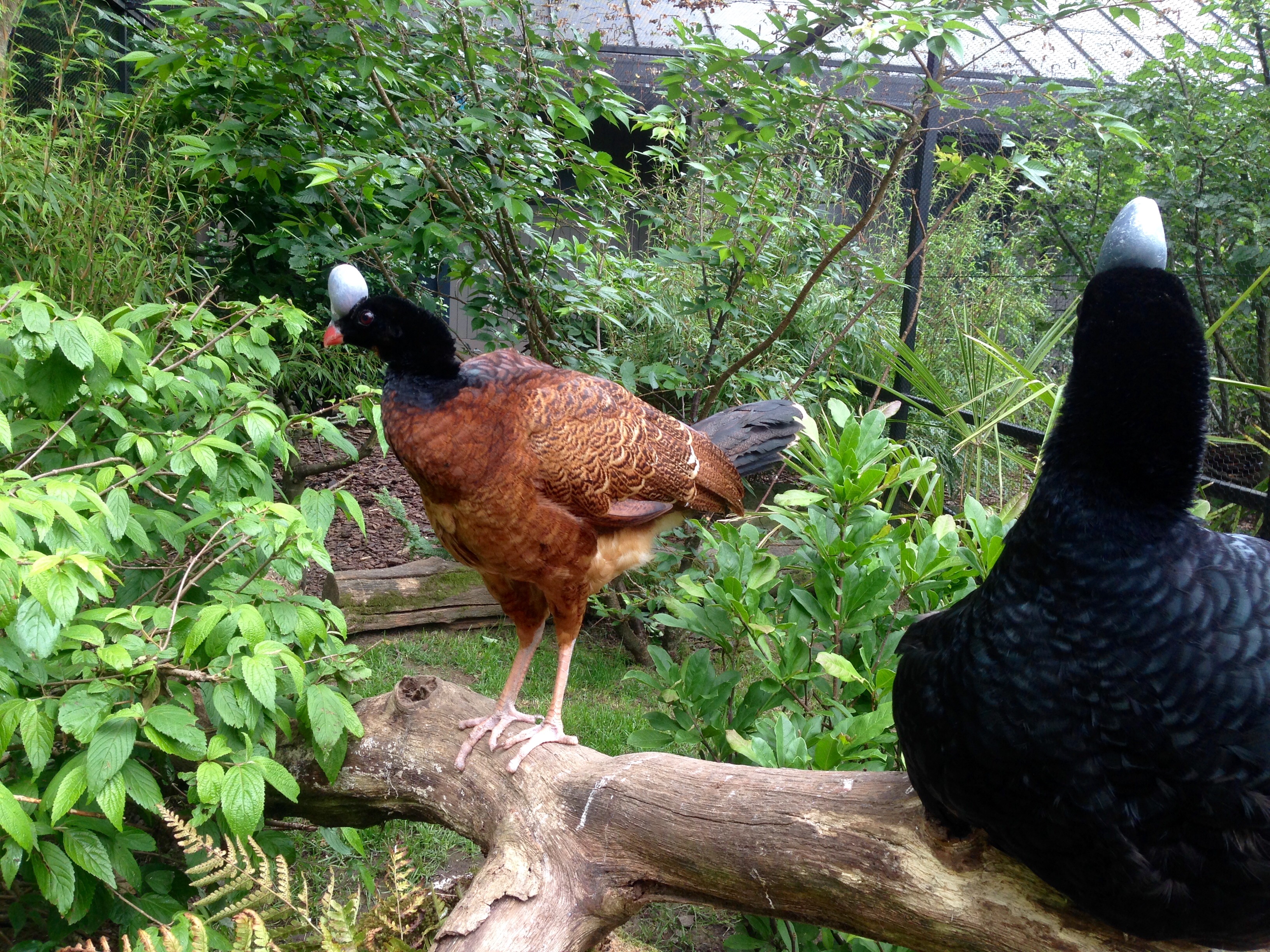 Photo n° 11 de l'avis de John.a fait le 10/06/2018 à 18:52