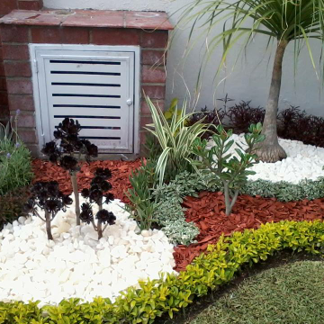 jardineria tijuana tijuana
