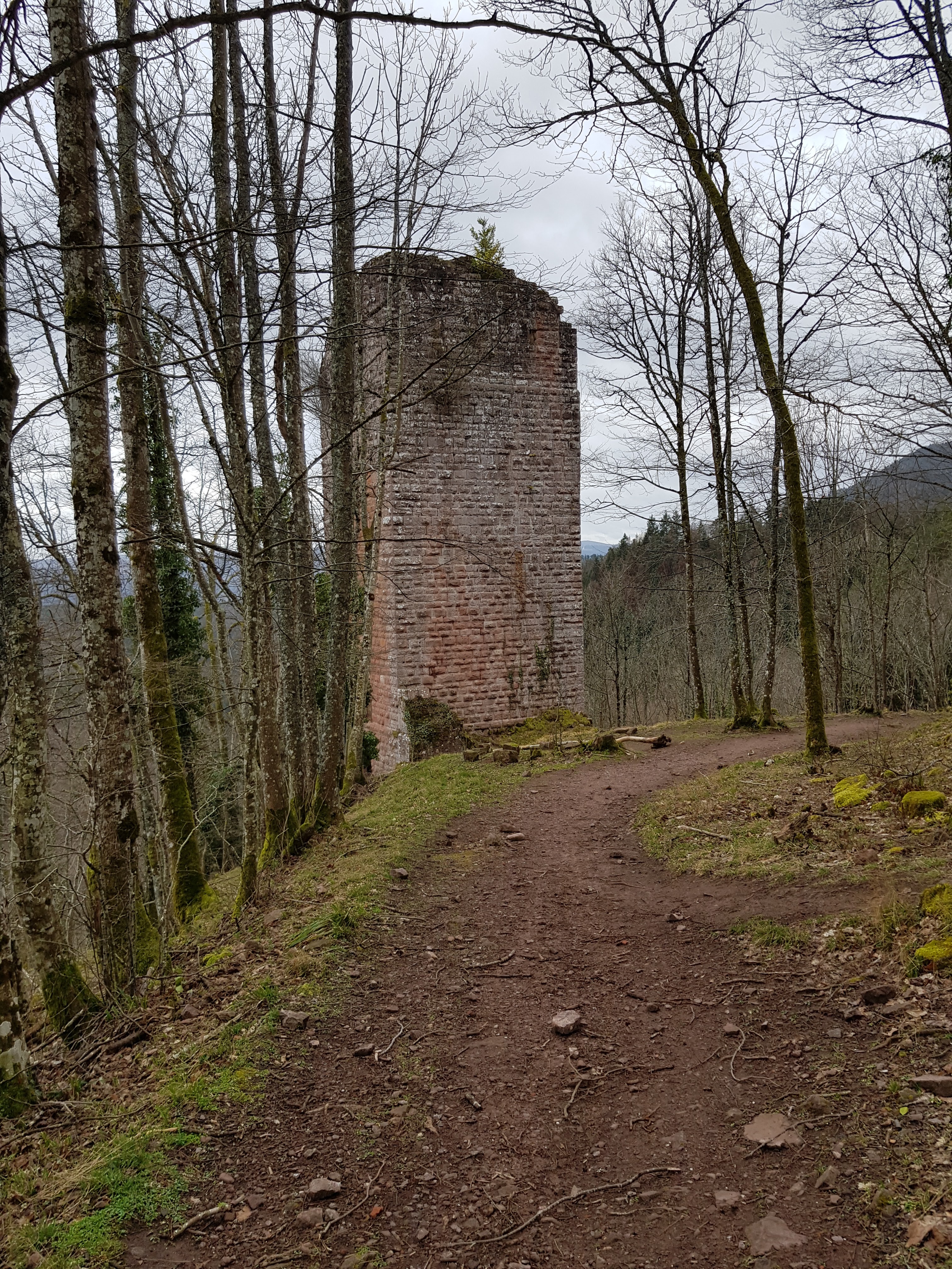 Photo n° 1 de l'avis de Sophie. fait le 20/02/2020 à 19:29
