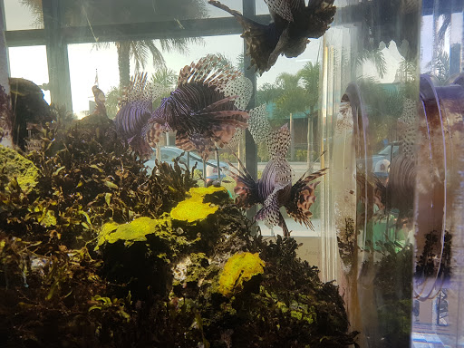 Marina «Sunrise Fish Dive Surf», reviews and photos, 505 Glen Cheek Dr, Port Canaveral, FL 32920, USA