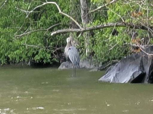Park «Quiet Cove Riverfront Park», reviews and photos, 1 Clear Water Dr, Poughkeepsie, NY 12601, USA