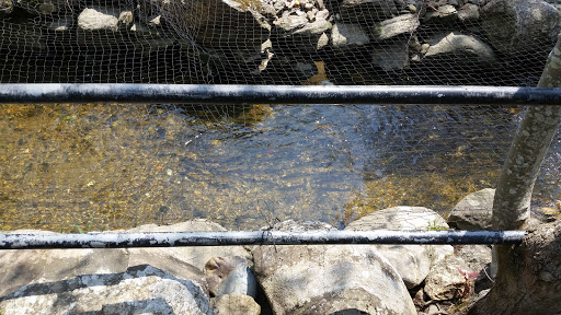 Fabric Store «Alewives Fabrics Gifts Gallery», reviews and photos, 10 Main St, Nobleboro, ME 04555, USA