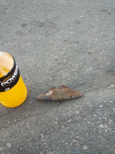 Water Park «Seven Peaks Waterpark Provo», reviews and photos, 1330 300 N, Provo, UT 84606, USA