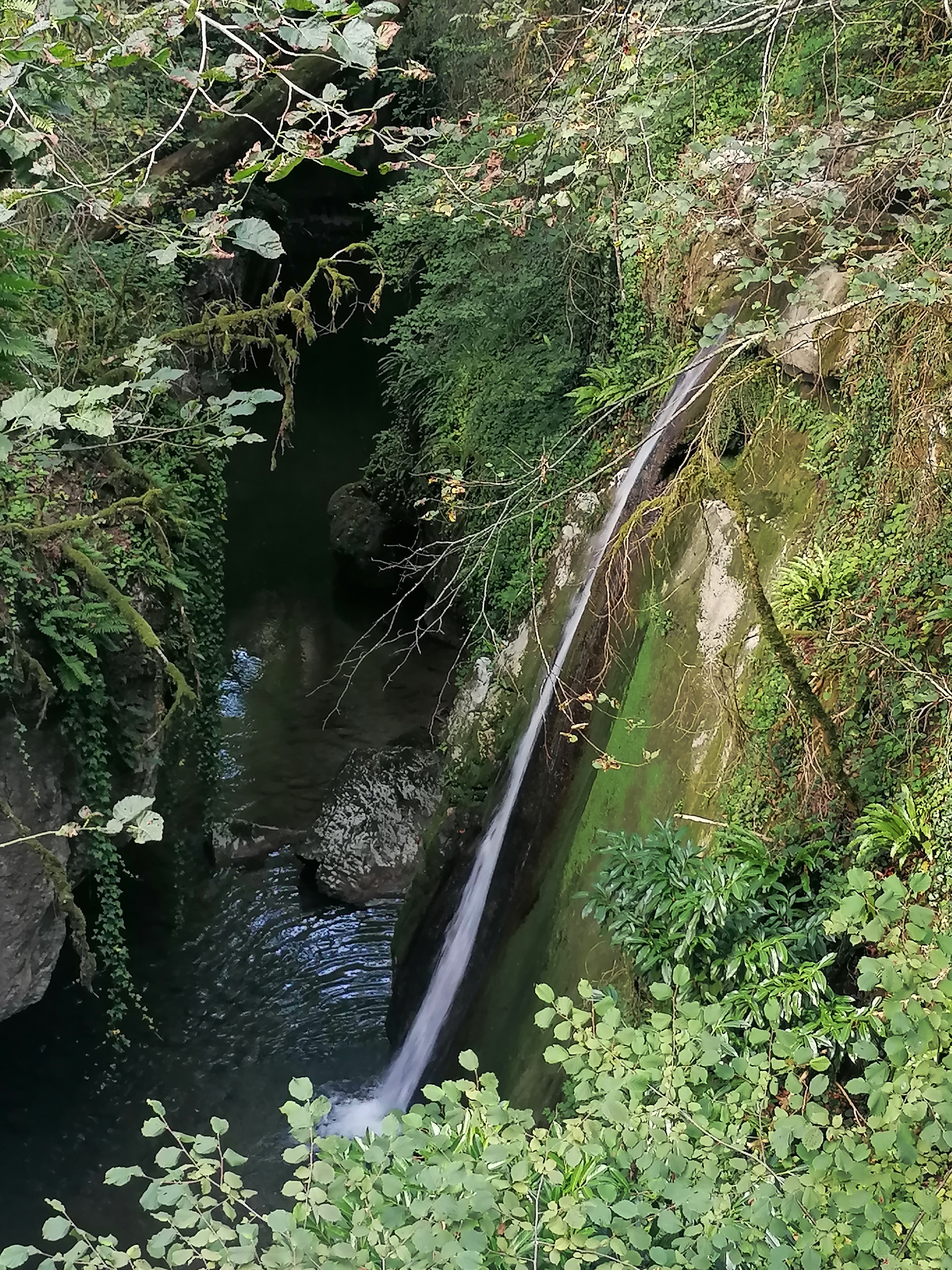 Photo n° 1 de l'avis de emma40.e fait le 18/08/2021 à 14:56