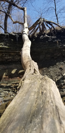 Education «River Bend Nature Center», reviews and photos, 1000 Rustad Road, Faribault, MN 55021, USA