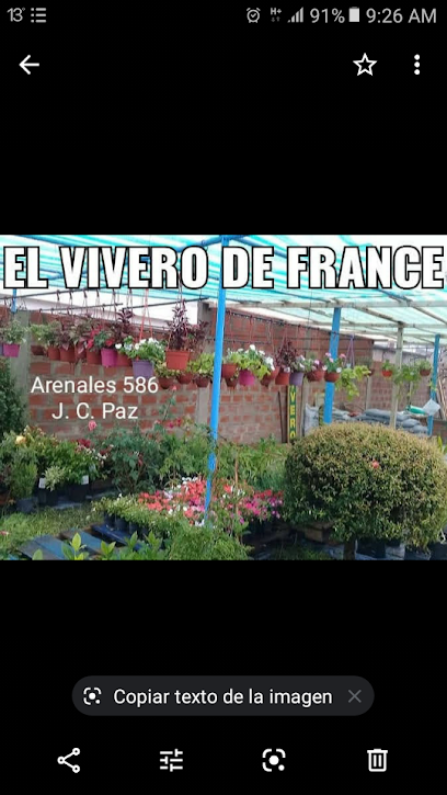 El vivero de france