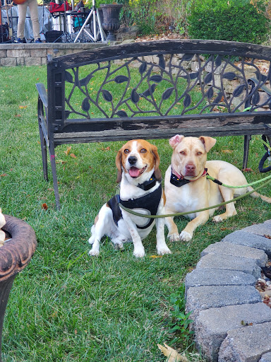 Taney County Veterinary Service