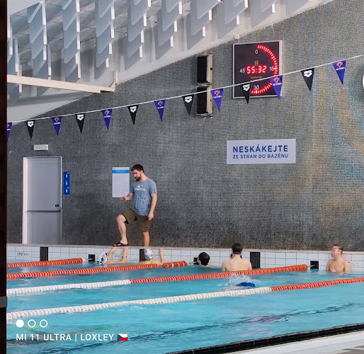 Plavecký Bazén Strahov - Organizace
