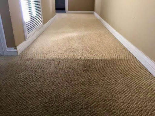Grey Carpet Cleaning Services