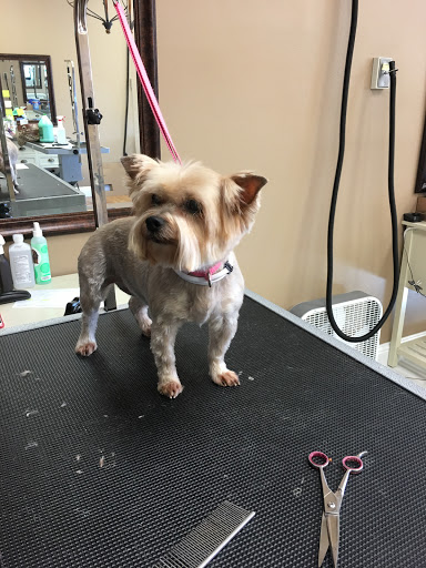 Pet Groomer «Dog Gone Cute Grooming & Bowtique», reviews and photos, 446 Racetrack Rd NW Unit F, Fort Walton Beach, FL 32547, USA