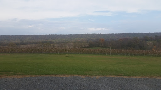 Winery «Bucks Valley Winery & Vineyards», reviews and photos, 333 Meadow Grove Road, Newport, PA 17074, USA