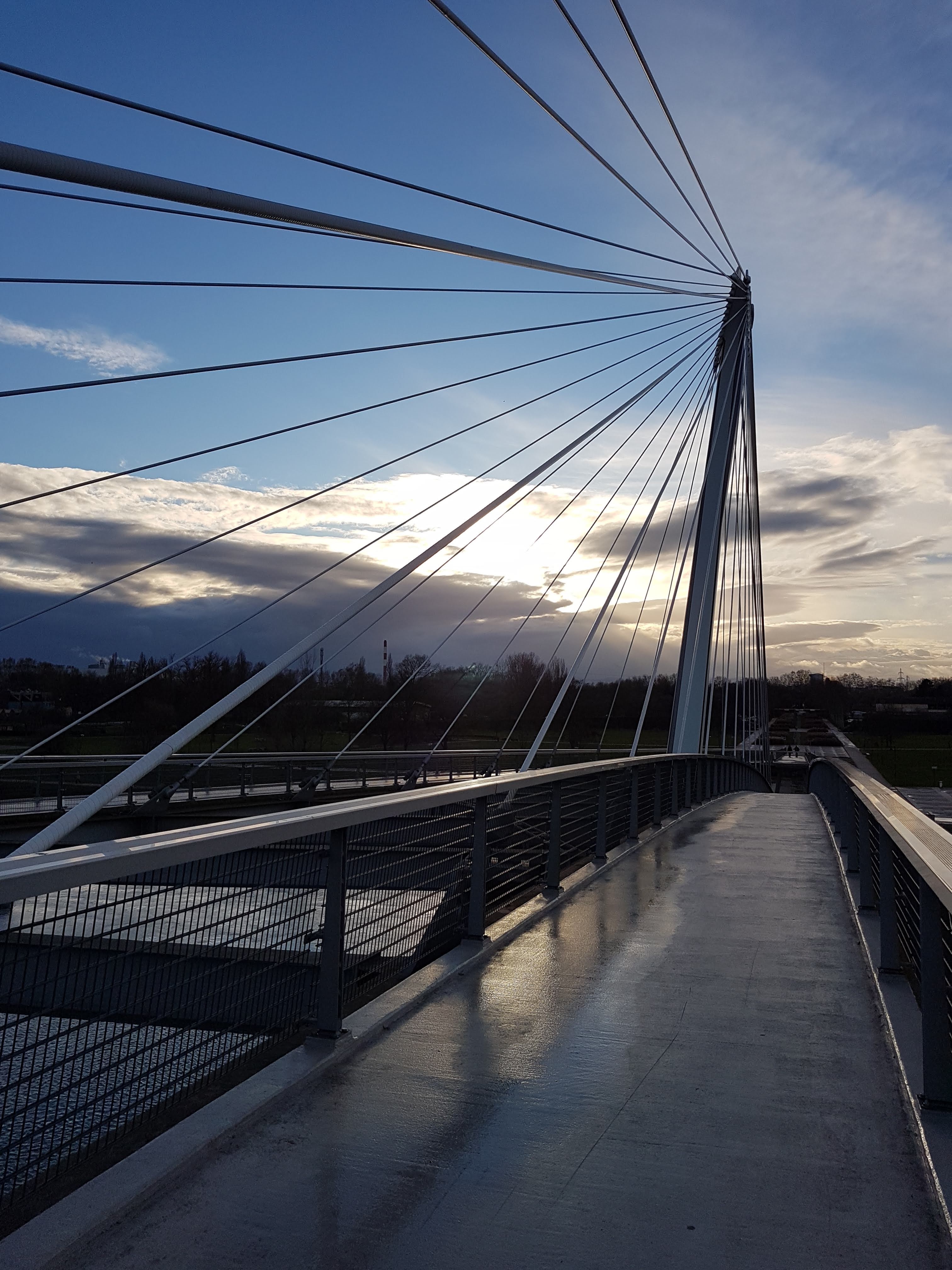 Photo n° 1 de l'avis de R... fait le 27/02/2019 à 15:28