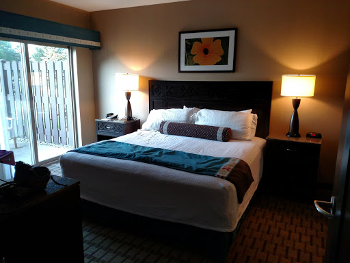 Water Park «Soaring Eagle Waterpark and Hotel», reviews and photos, 5665 E Pickard Rd, Mt Pleasant, MI 48858, USA