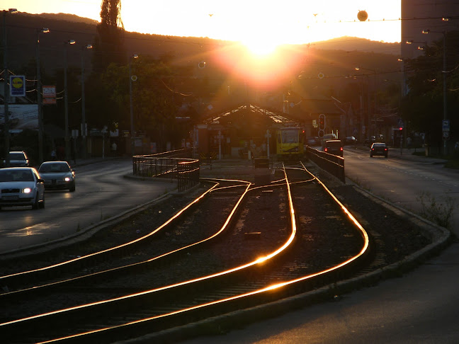 Comentarii opinii despre Babylon Eszpresszó