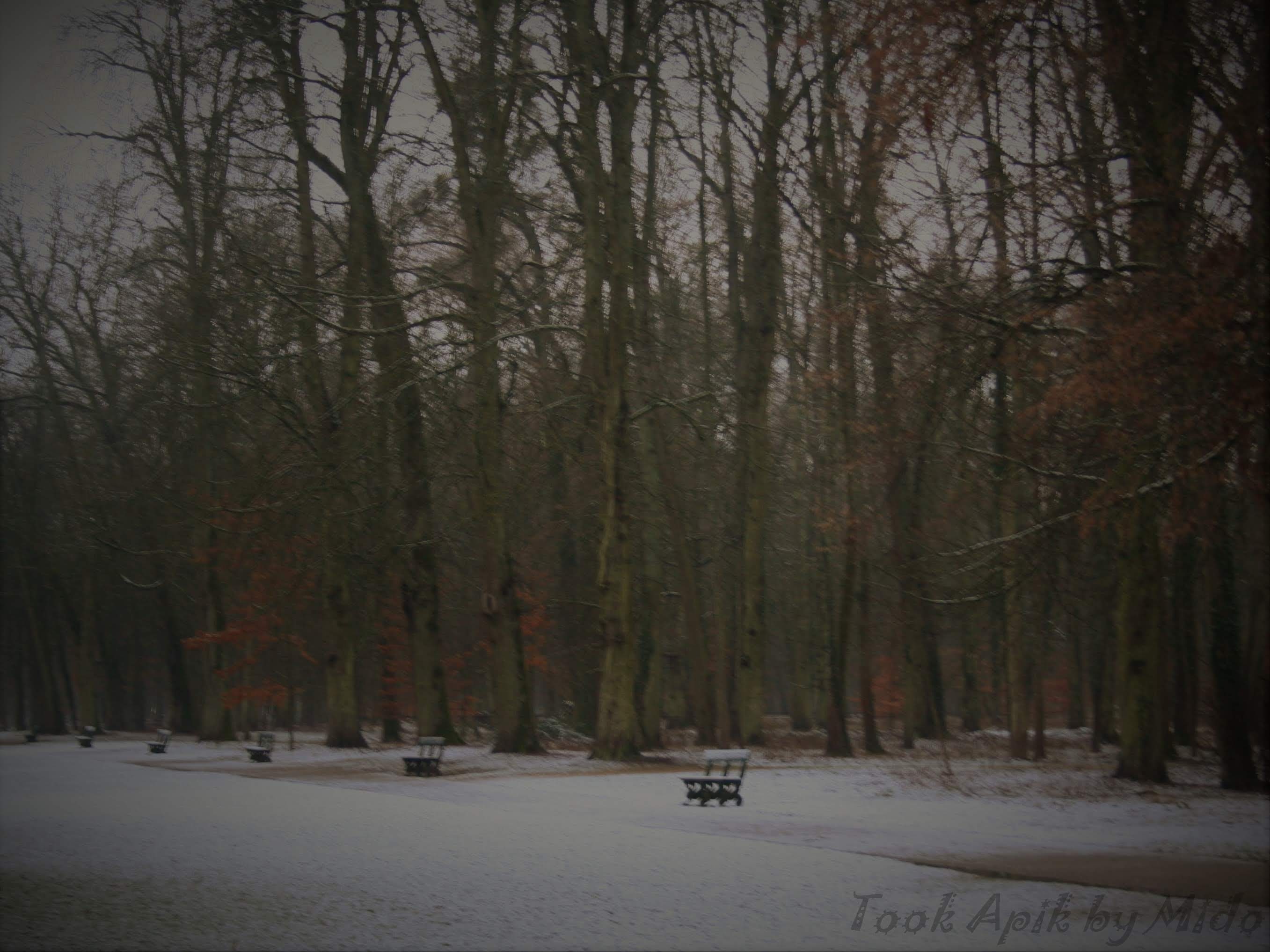 Photo n° 26 de l'avis de Mi.o fait le 26/06/2019 à 06:26