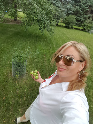 Golf Course «Prairiewood Golf Course», reviews and photos, 22 Prairiewood Dr S, Fargo, ND 58103, USA