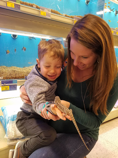 Pet Supply Store «PetSmart», reviews and photos, 6675 S Virginia St, Reno, NV 89511, USA