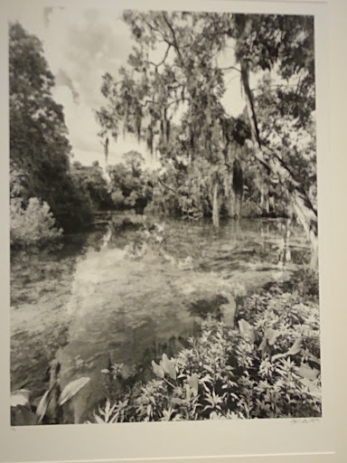 Museum «Foosaner Art Museum», reviews and photos, 1463 Highland Ave, Melbourne, FL 32935, USA